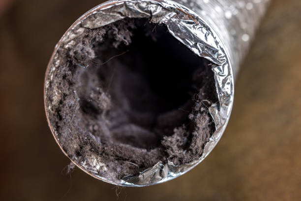 Best Affordable Air Duct Cleaning  in Catawba, SC