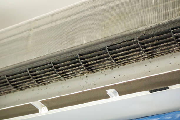 Best Air Duct Cleaning Near Me  in Catawba, SC